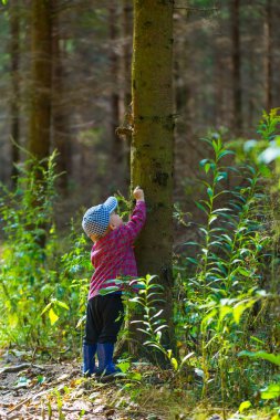 Çalışan ve ormanda yaz oynarken küçük çocuk.