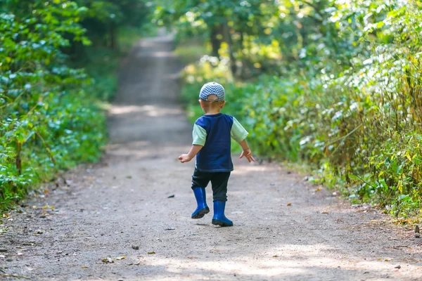 Çalışan ve ormanda yaz oynarken küçük çocuk.