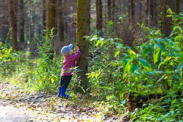 Çalışan ve ormanda yaz oynarken küçük çocuk.