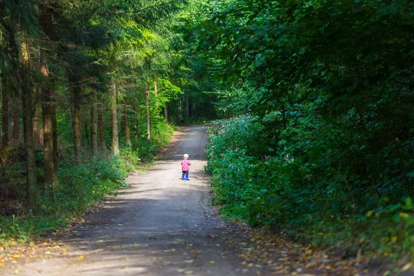 Çalışan ve ormanda yaz oynarken küçük çocuk.