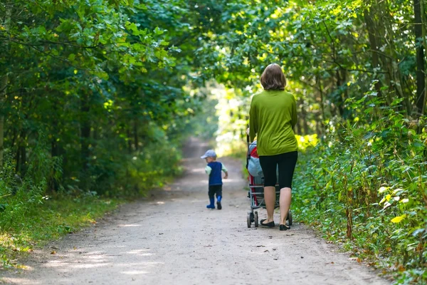 Bebek arabası ve yaz orman yolu tarafından yürüyüş bebek ile anne