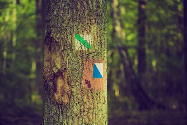 Oldtimer-Foto von Wegweiser auf Baumrinde im sommerlichen Wald gemalt. — Stockfoto