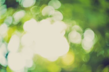 Bokeh doğal arka plan vintage ruh hali ile