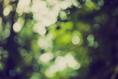 Bokeh doğal arka plan vintage ruh hali ile