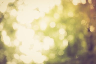 Bokeh doğal arka plan vintage ruh hali ile