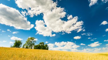 Anız alan beyaz bulutlar ile mavi gökyüzü altında