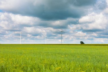 Mısır sahada yel değirmenleri.