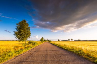 Eski asfalt yol, kırsal yaz yatay