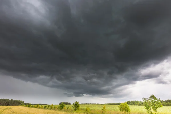 Sommerlandschaft mit Gewitterhimmel über Roggenfeld — Stockfoto