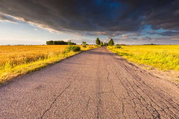 Rural zomer landschap met oude asfaltweg — Stockfoto