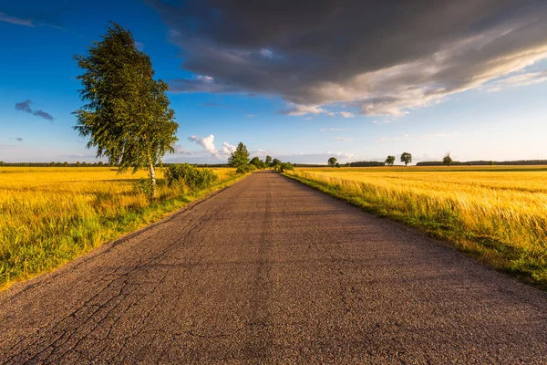 Paesaggio rurale estivo con vecchia strada asfaltata — Foto Stock