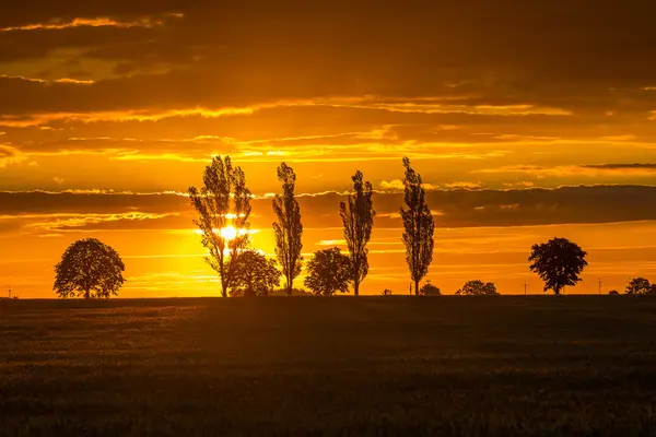 Paisagem com céu laranja por do sol sobre arquivado e árvores — Fotografia de Stock