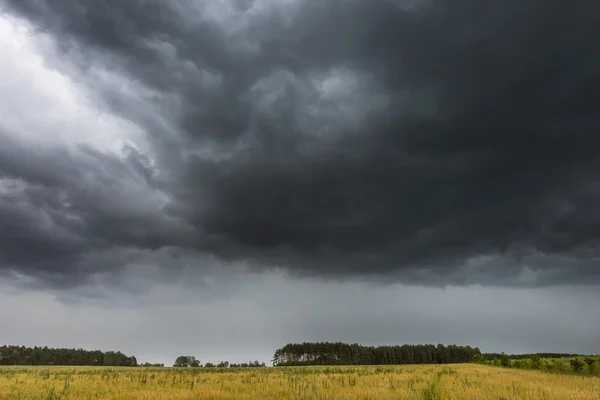 Dunkle Gewitterwolken über Maisfeld im Sommer — Stockfoto