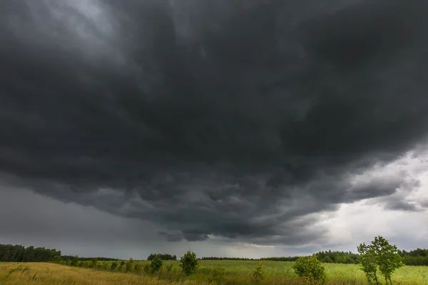 Nubes tormentosas oscuras sobre el campo de maíz en verano — Foto de Stock