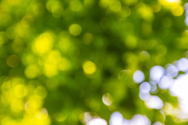 Ufuk yaz orman soyut peyzaj