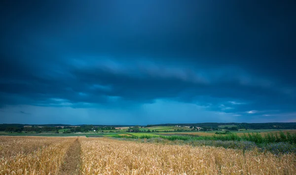 Céu tempestuoso sobre o campo — Fotografia de Stock