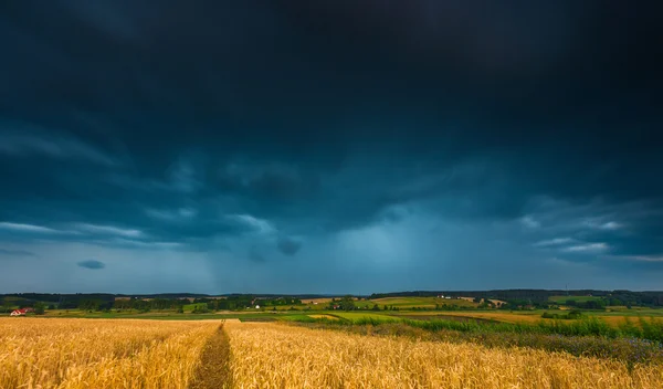 Stürmischer Himmel über dem Feld — Stockfoto