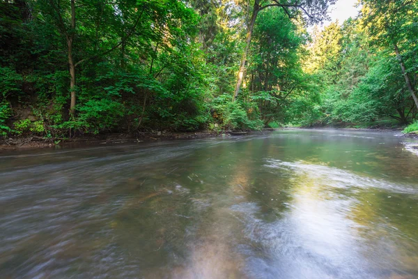 Beautiful landscape with summertime forest and river — Stock Photo, Image