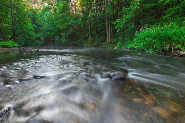 Beautiful landscape with summertime forest and river — Stock Photo, Image