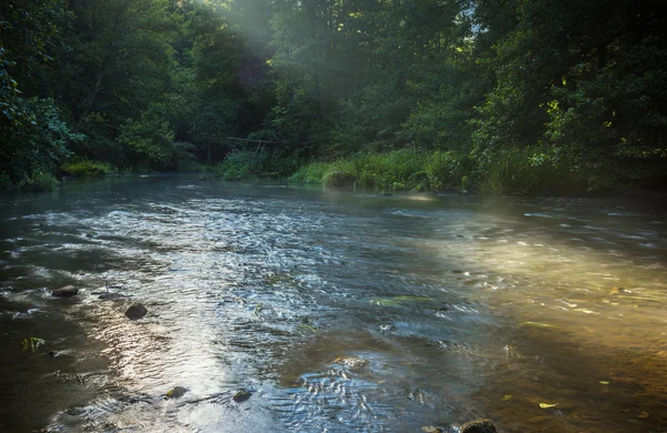 Beautiful landscape with summertime forest and river — Stock Photo, Image