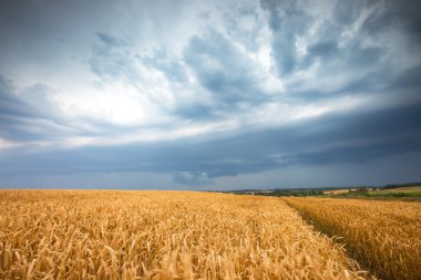 alan üzerinde fırtınalı gökyüzü