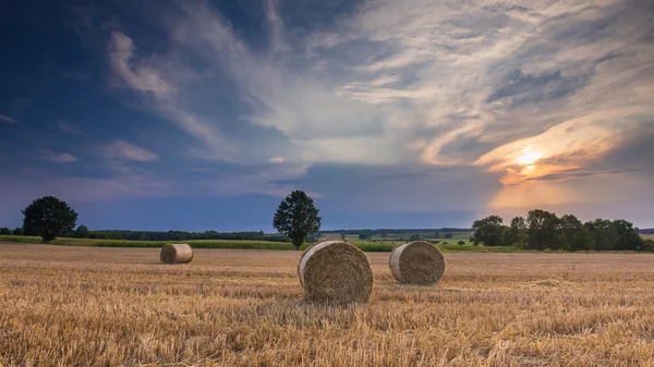 Stoppelveld met strobalen — Stockfoto