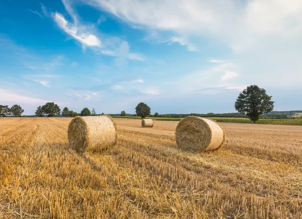 짚으로 엮은 방석 과 짚으로 된 밭 — 스톡 사진