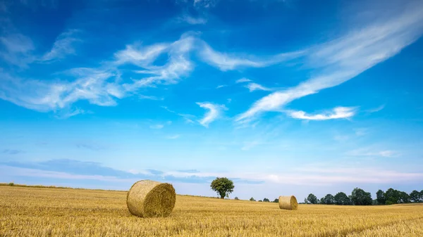 Champ de chaume avec balles de paille — Photo