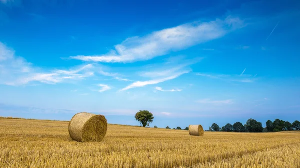 Campo di stoppie con balle di paglia — Foto Stock