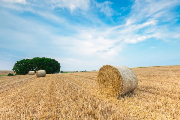 Champ de chaume avec balles de paille — Photo