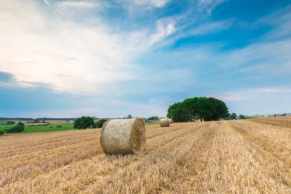 Champ de chaume avec balles de paille — Photo