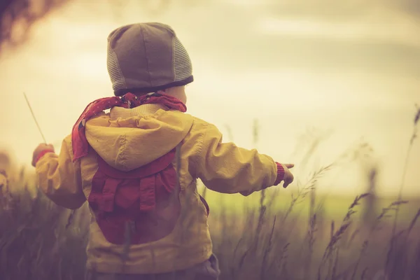 Foto vintage de criança pequena brincando no prado — Fotografia de Stock