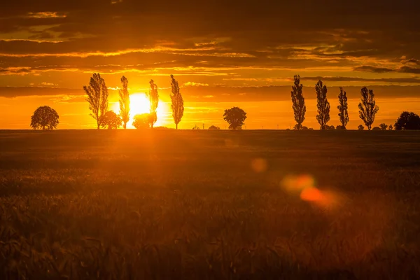 Paisagem com céu laranja por do sol sobre arquivado e árvores — Fotografia de Stock