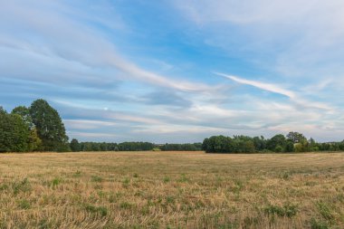 Hasat alanından sonra güzel.