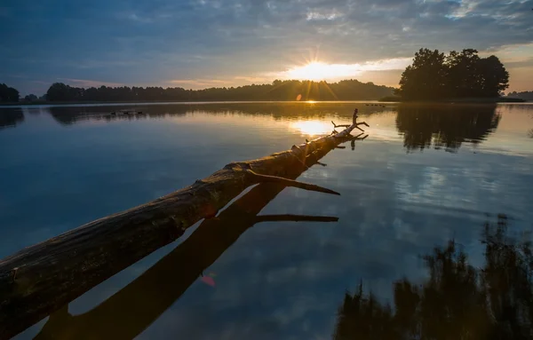 素敵な光と美しい湖の風景 — ストック写真