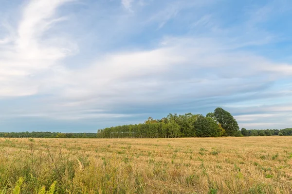 Beautiful after harvest field. — Stock Photo, Image