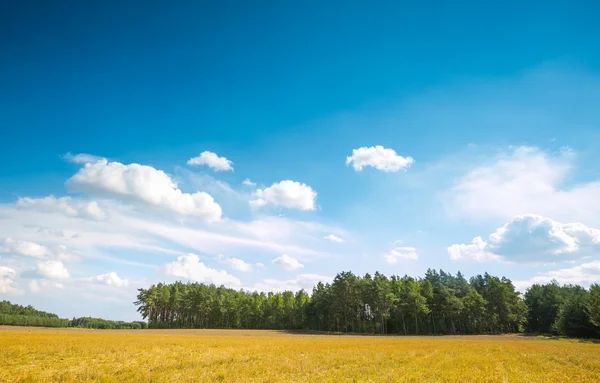 Beautiful na oogst veld. — Stockfoto