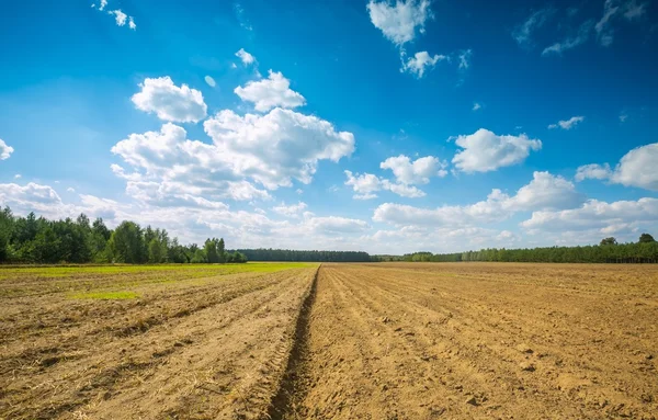 Beautiful plowed field under cloudy sky. — Stock Photo, Image
