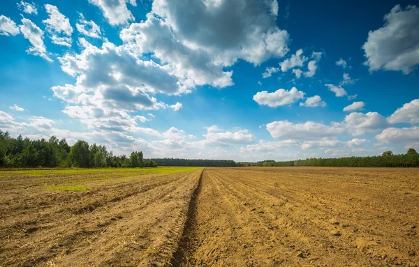 Beautiful plowed field under cloudy sky. — Stock Photo, Image
