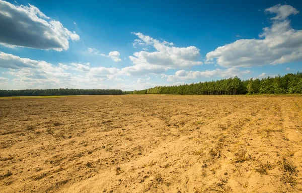 Bellissimo campo arato sotto cielo nuvoloso . — Foto Stock