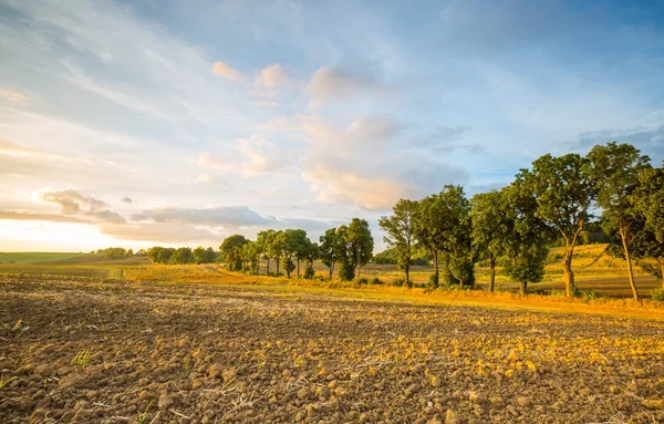 Mooie geploegd veld onder bewolkte hemel. — Stockfoto
