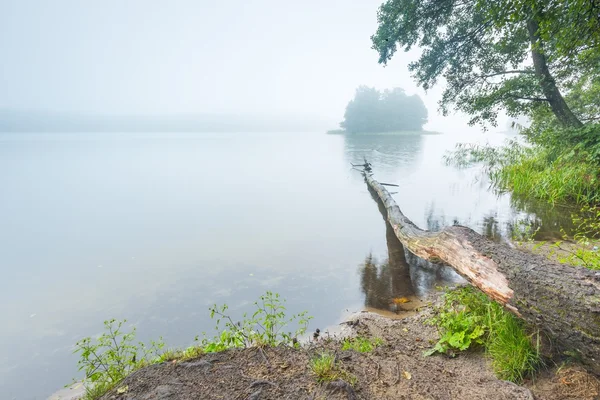 秋霧の湖の海岸. — ストック写真