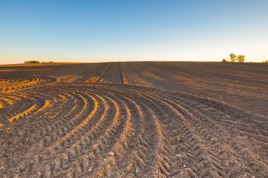 Gökyüzü altında sürülmüş alanıyla güzel manzara