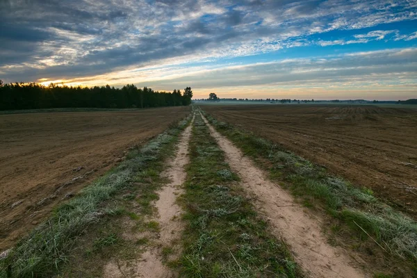 Bela paisagem com estrada e campos . — Fotografia de Stock