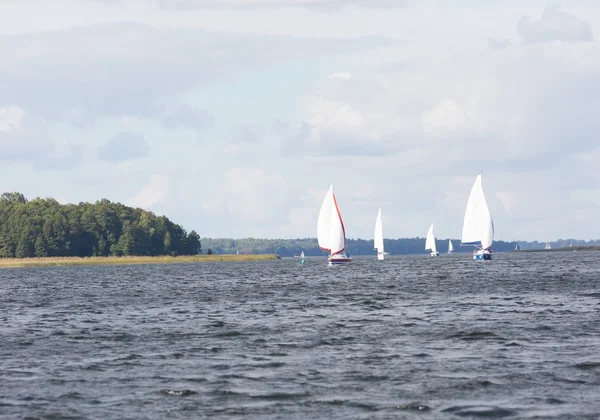 Göl kenarında Yelkenliler