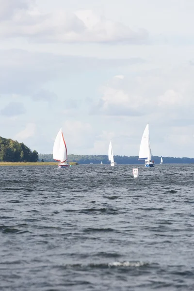 Sailboats on lake — Stock Photo, Image