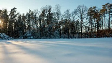 Idyllic kış manzarası zamanı. 4k karlı manzara. Yüksek kalite 4k görüntü