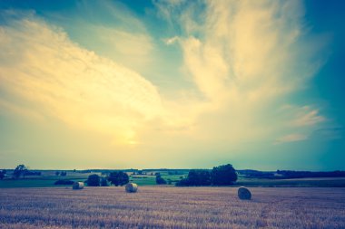 Balya ile anız alanının Vintage Fotoğraf