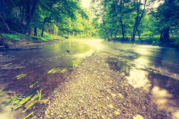 Foto vintage da bela floresta de verão com rio selvagem . — Fotografia de Stock