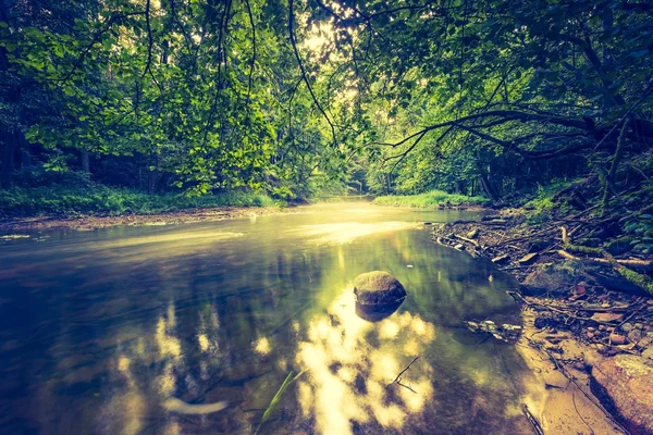 Foto vintage de hermoso bosque de verano con río salvaje . —  Fotos de Stock